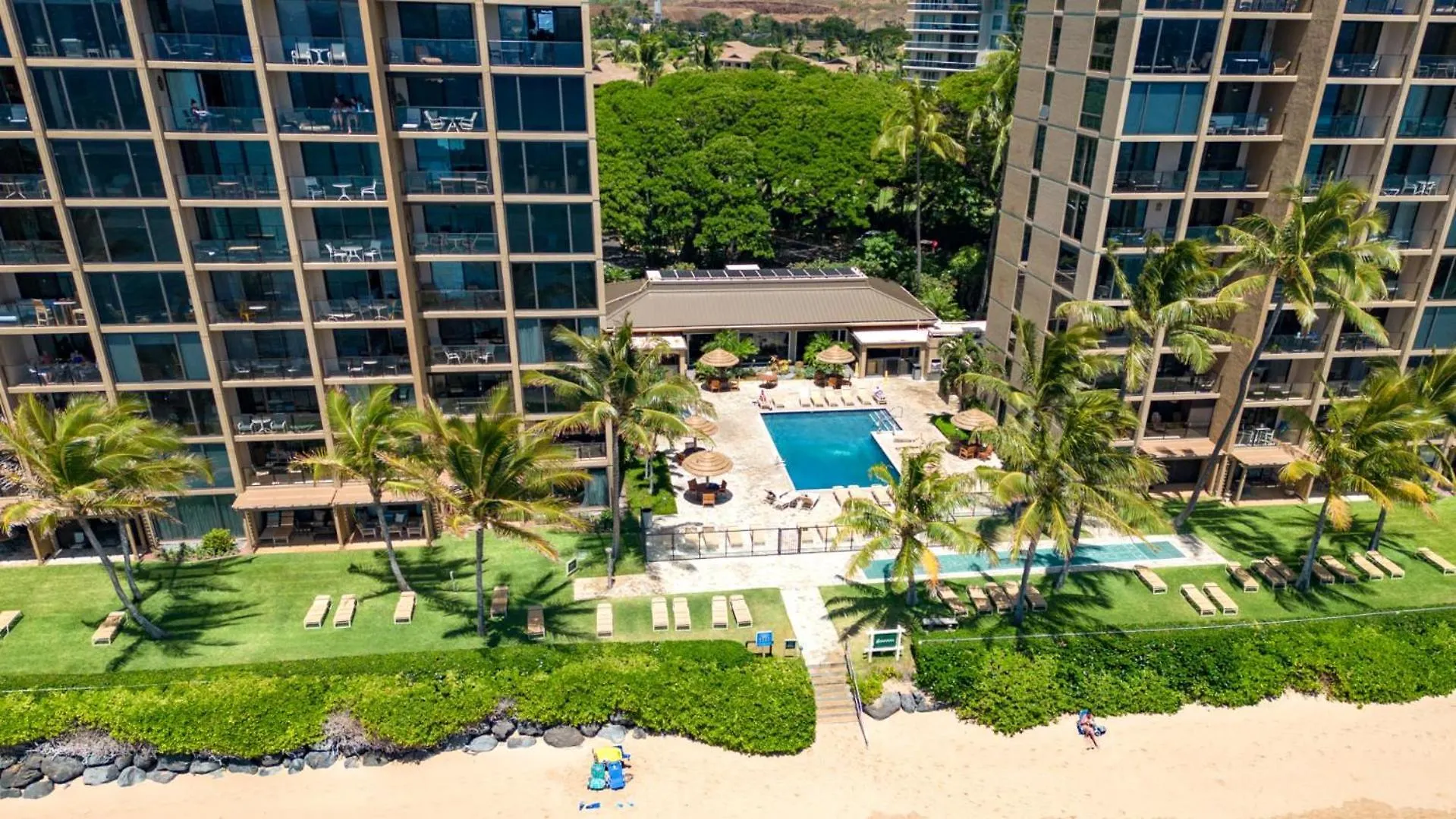 Apartment Kbm Resorts Free Car Mahana Mah-1211 Penthouse Ocean Front Watch Sunsets Kaanapali United States