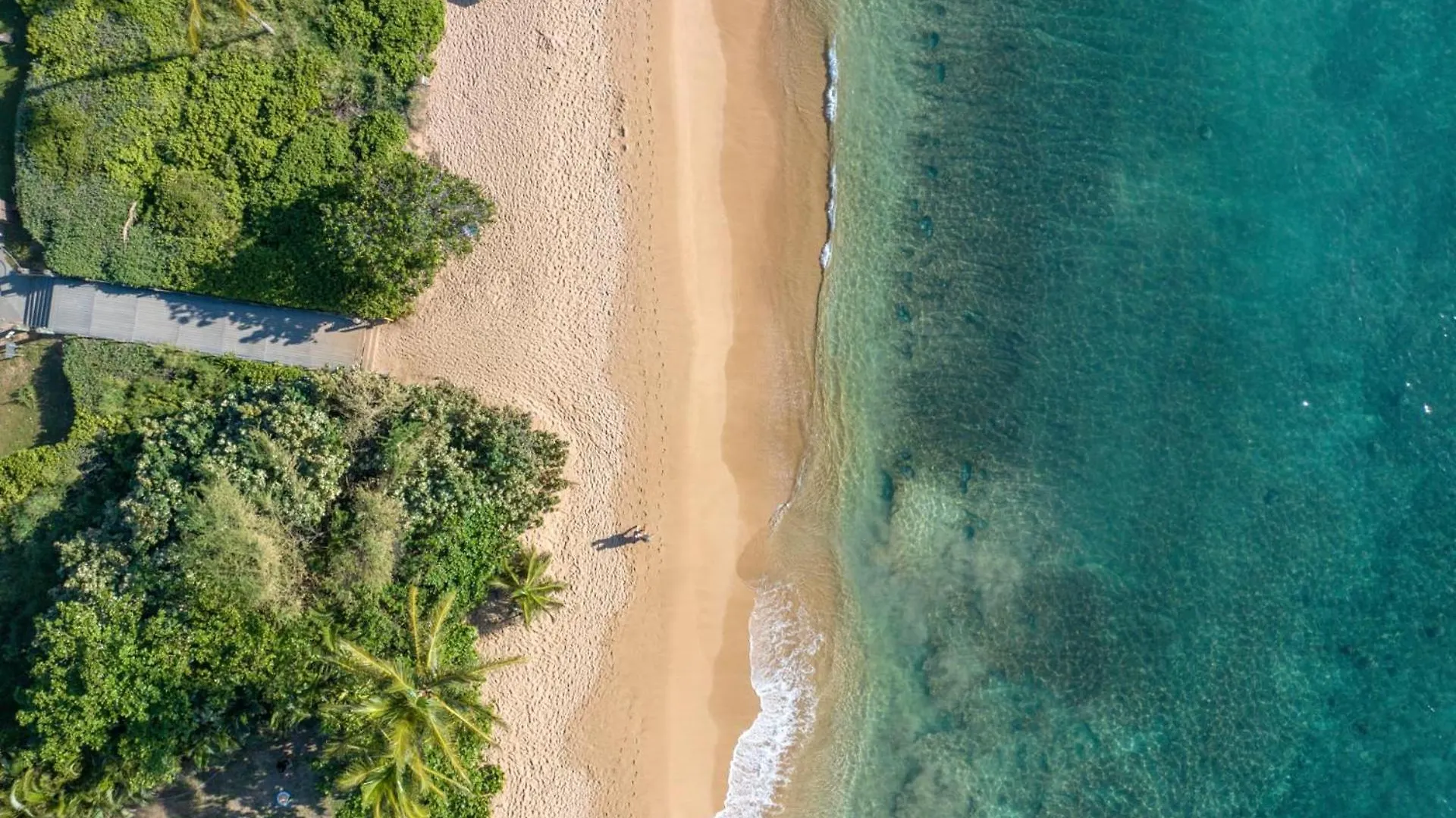 Kbm Resorts Free Car Mahana Mah-1211 Penthouse Ocean Front Watch Sunsets Kaanapali Apartment